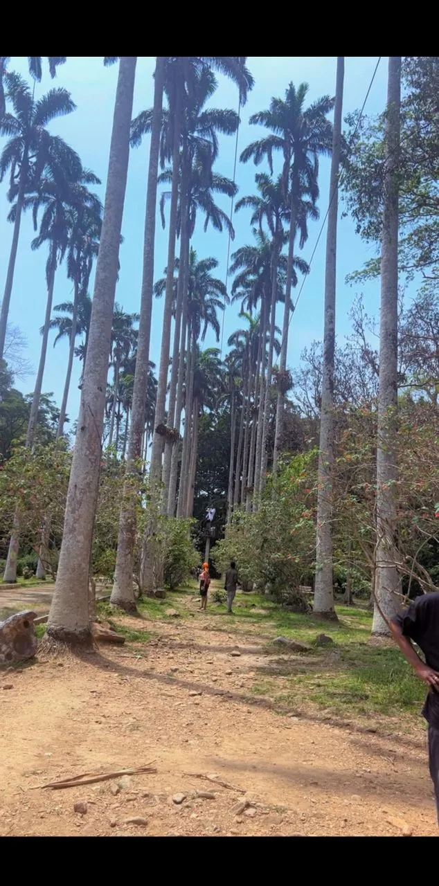 Bunso forest & cocoa heritage