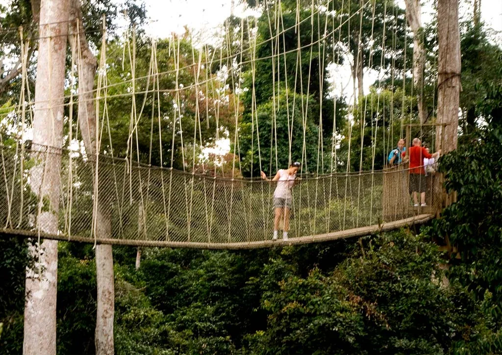 Kakum rainforest & canopy